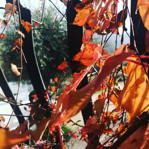 Agroturismo Il Pozzo Country House