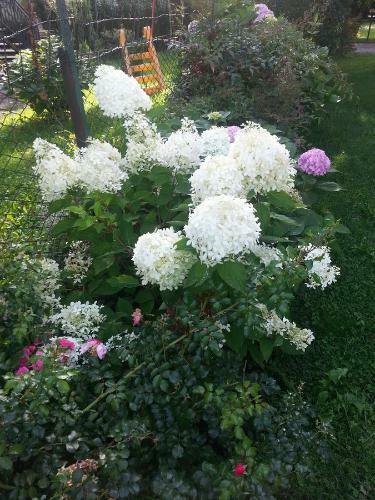 Bed & Breakfast La Casa Di Clara