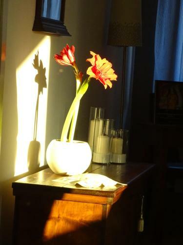 Bed & Breakfast La Casa Di Clara