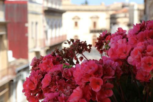 B&B Bellavista Francofonte