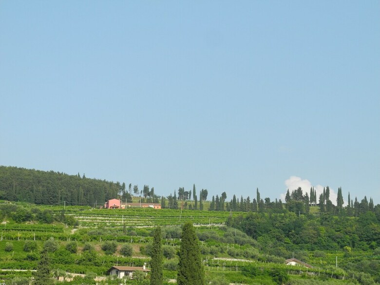 B&B Mimosa E Lill�