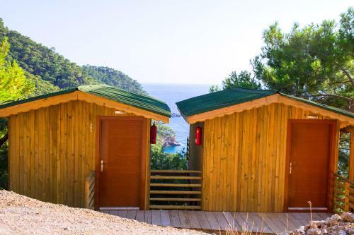 Tree Houses