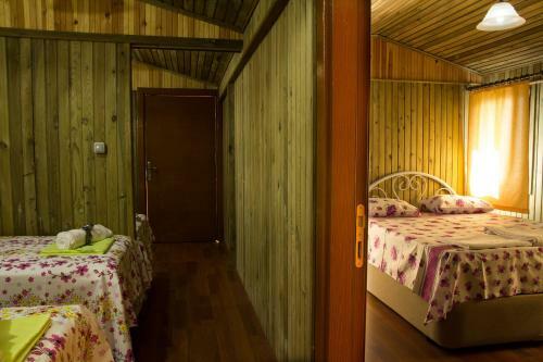 Tree Houses