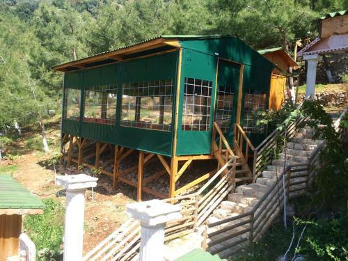Tree Houses