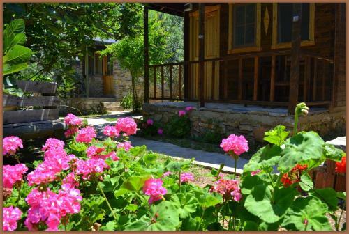 Lodge Montenegro Motel