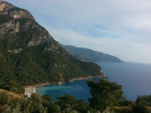 Olive Garden Kabak