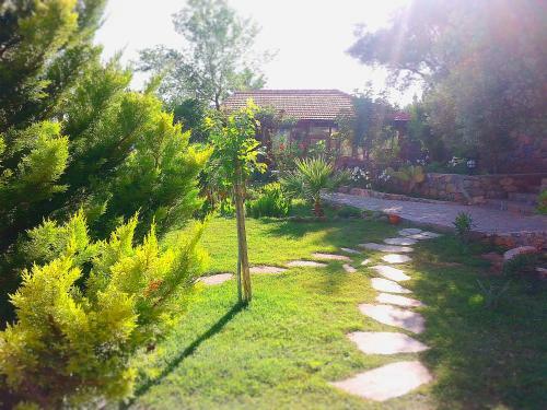 Olive Garden Kabak