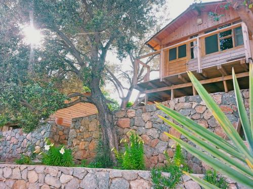 Olive Garden Kabak