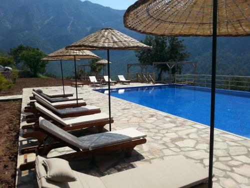 Olive Garden Kabak