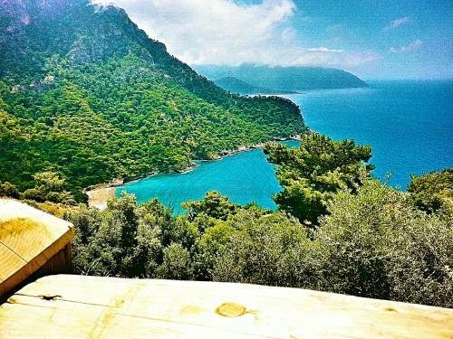 Olive Garden Kabak