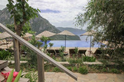 Olive Garden Kabak