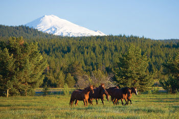 Hotel Sunriver Resort