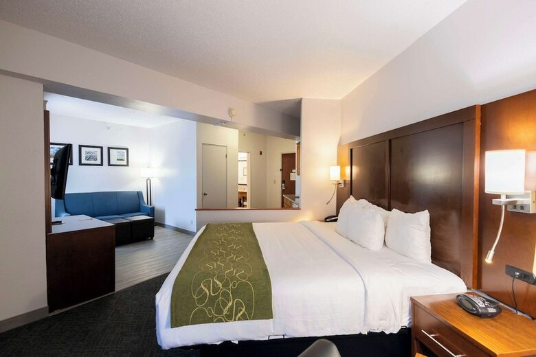 Hotel Comfort Suites