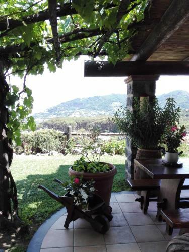 Apartamento Il Vigneto