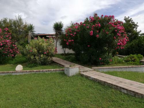Casa Vacanze Oleandra
