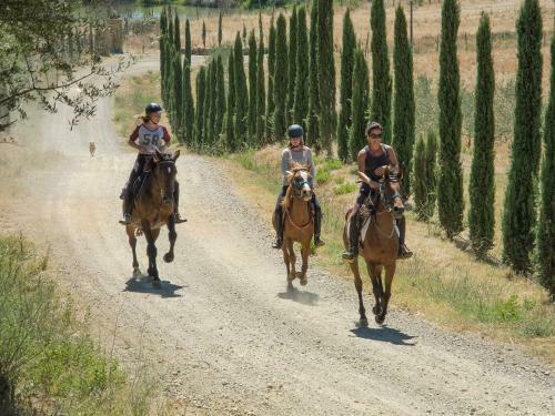 Agroturismo Tenuta Del Fontino