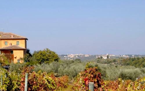 Senecchiolo Villa Sleeps 14 Pool Air Con Wifi