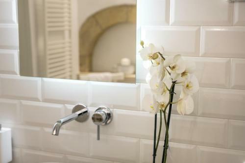 Bed & Breakfast Amat� Suite