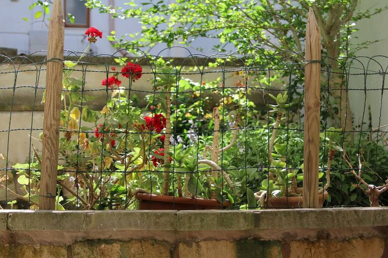 B&B A Casa Di Gioia