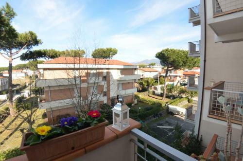 Apartamento Very Nice Flat Delfino 300 Mt From The Sea