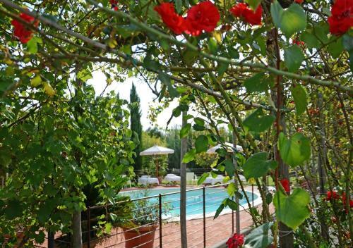 Apartamento Jardin Vert