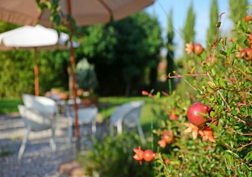Apartamento Jardin Blanc