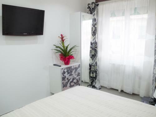 B&B Ricci