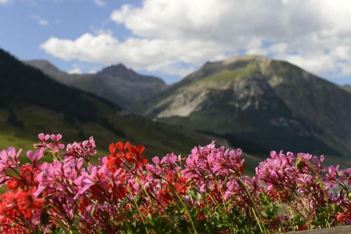Apartamento Chalet Garden