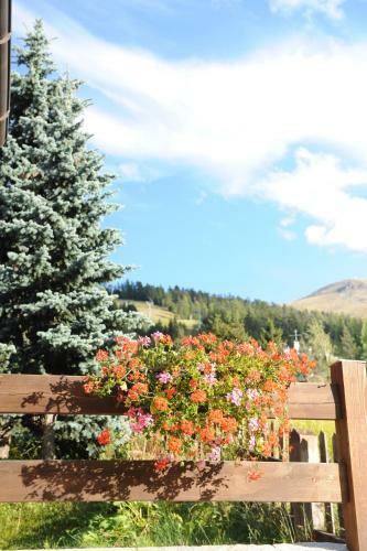 Apartamento Chalet Garden