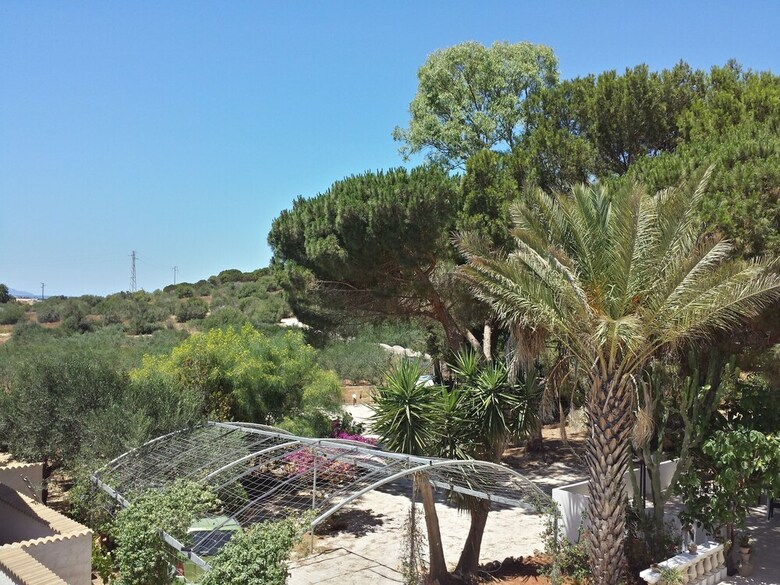 Bed & Breakfast Baglio Il Giovinetto