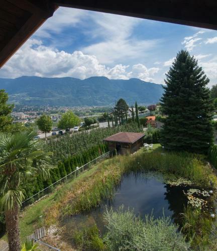 Bed & Breakfast Garden-suite Faselehof