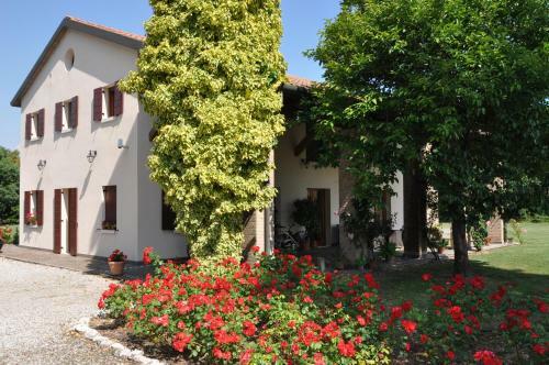 Agroturismo Agriturismo Ancillotto