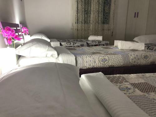 Bed & Breakfast Venice Tour