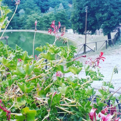 Bed & Breakfast Taverna Del Dolmen
