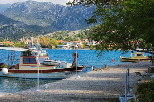 Hostal Losta Sahil Evi