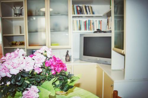 Bed & Breakfast Gottardo