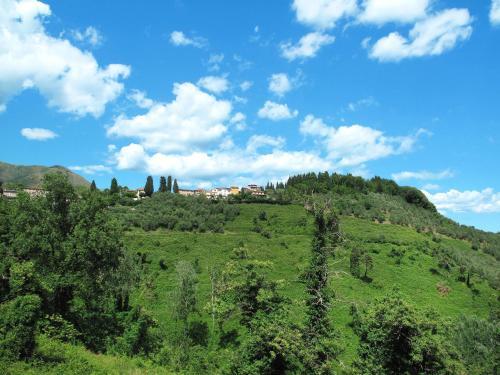 Locazione Turistica Casa Costacce (Cma255)