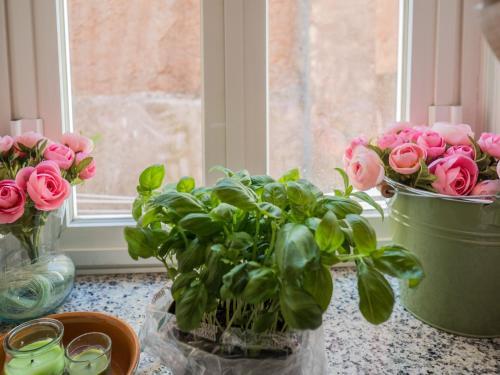 Apartamento Levre De Cuppi