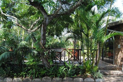 Bed & Breakfast African Dreamz Guest House