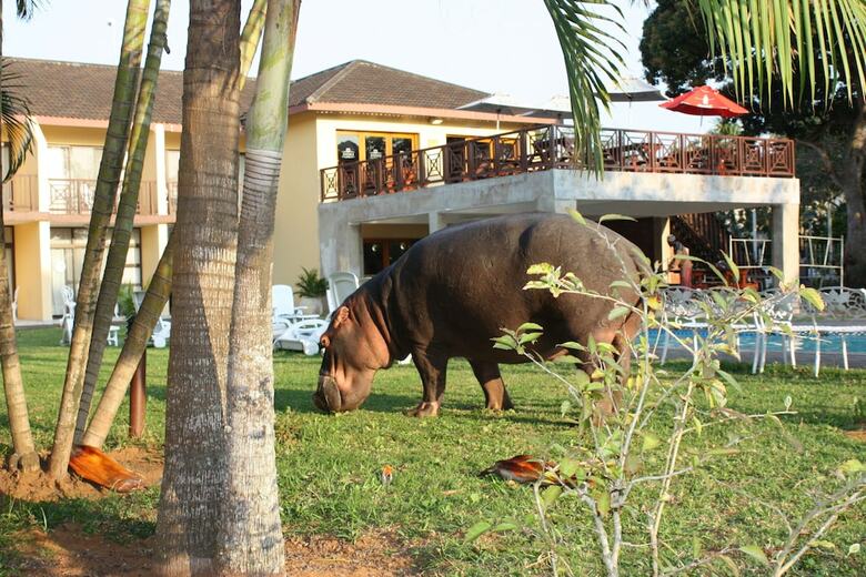 Elephant Lake Hotel