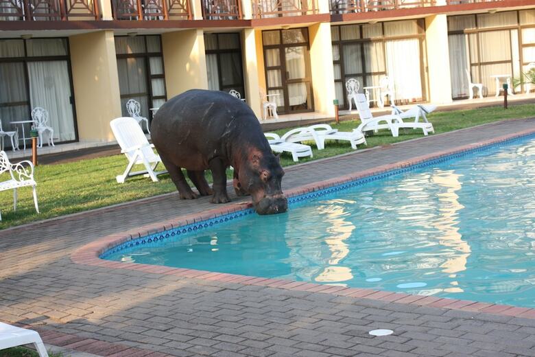 Elephant Lake Hotel
