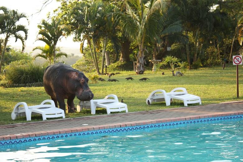 Elephant Lake Hotel