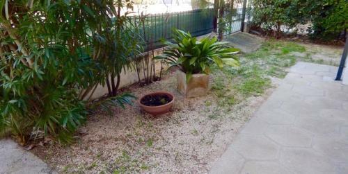Apartamento M140 - Marcelli, Trilocale In Centro Con Giardino