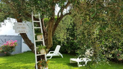 Agroturismo Agriturismo La Rondine