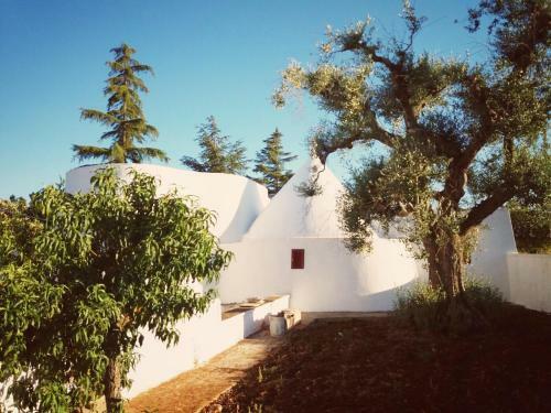 Il Biancotrullo