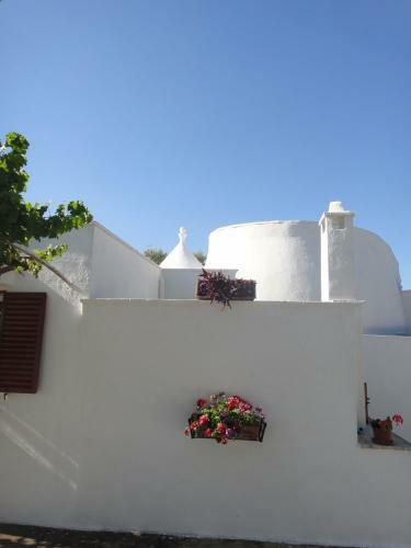 Il Biancotrullo