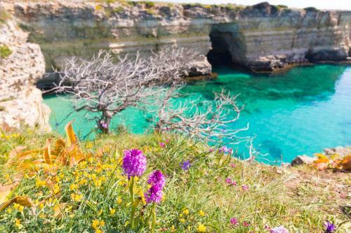 Apartamento Casa Vacanze "noemi" A Otranto, Salento 5 Posti