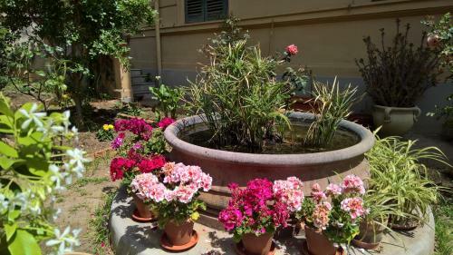 Bed & Breakfast Le Rose Del Viale