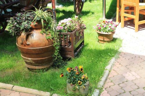 Apartamentos Pension Tip-top