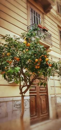 B&B La Bella Balla-r�